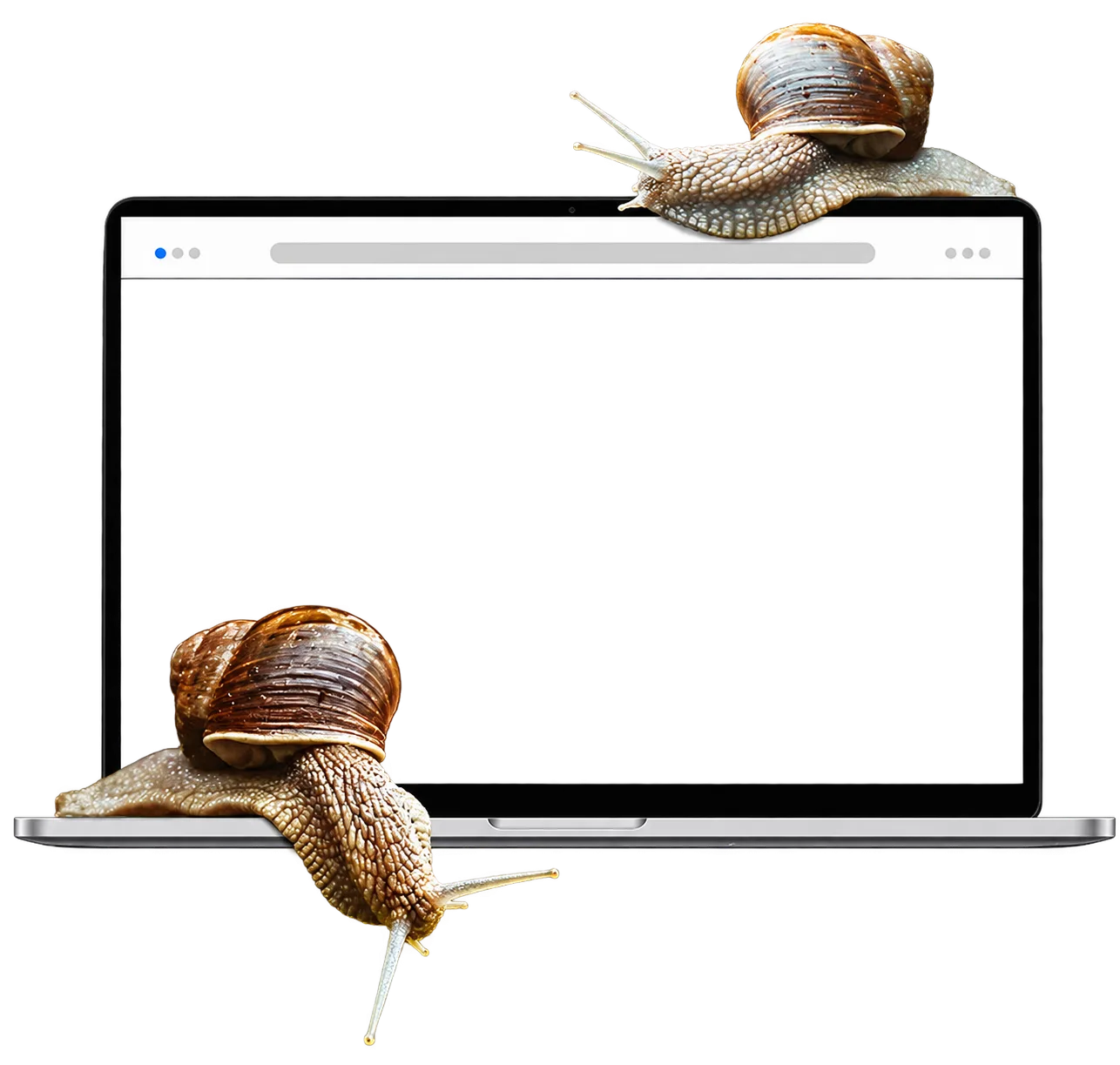Lassú weboldal szemléltetése
